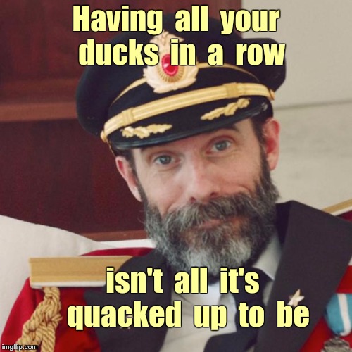 DUCK, Captain Obvious! | Having  all  your  ducks  in  a  row; isn't  all  it's  quacked  up  to  be | image tagged in captain obvious,ducks | made w/ Imgflip meme maker