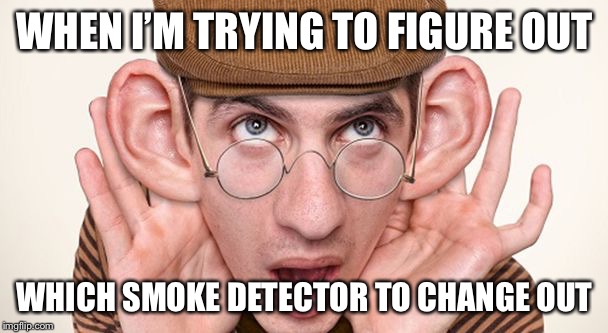big ears | WHEN I’M TRYING TO FIGURE OUT; WHICH SMOKE DETECTOR TO CHANGE OUT | image tagged in big ears | made w/ Imgflip meme maker