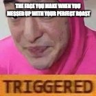 Triggered | THE FACE YOU MAKE WHEN YOU MESSED UP WITH YOUR PERFECT ROAST | image tagged in triggered | made w/ Imgflip meme maker
