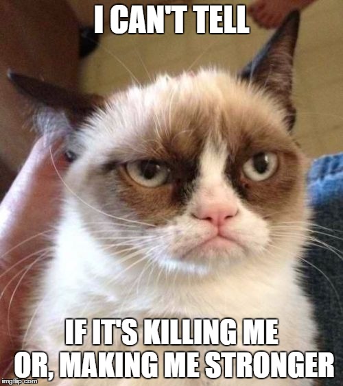 Grumpy Cat Reverse Meme | I CAN'T TELL; IF IT'S KILLING ME OR, MAKING ME STRONGER | image tagged in memes,grumpy cat reverse,grumpy cat,random | made w/ Imgflip meme maker