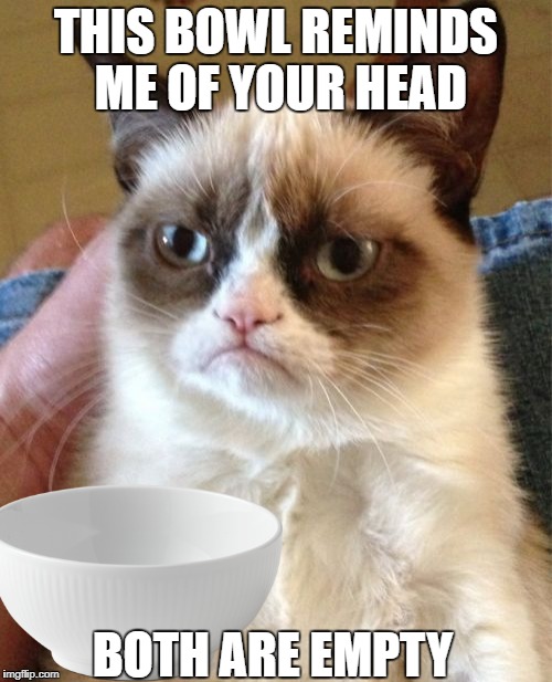 Grumpy cat | THIS BOWL REMINDS ME OF YOUR HEAD; BOTH ARE EMPTY | image tagged in grumpy cat,bowl | made w/ Imgflip meme maker