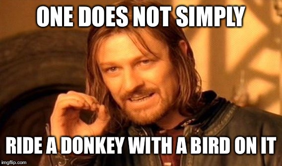 One Does Not Simply Meme | ONE DOES NOT SIMPLY RIDE A DONKEY WITH A BIRD ON IT | image tagged in memes,one does not simply | made w/ Imgflip meme maker