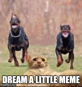 Dream a little meme | image tagged in dream,meme,facebook cover | made w/ Imgflip meme maker