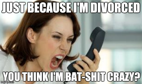 JUST BECAUSE I'M DIVORCED YOU THINK I'M BAT-SHIT CRAZY? | made w/ Imgflip meme maker