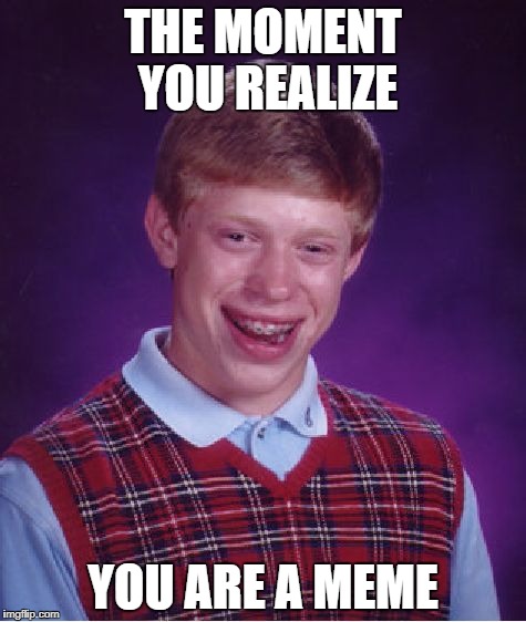 Bad Luck Brian Meme | THE MOMENT YOU REALIZE; YOU ARE A MEME | image tagged in memes,bad luck brian | made w/ Imgflip meme maker