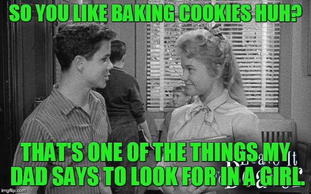 SO YOU LIKE BAKING COOKIES HUH? THAT'S ONE OF THE THINGS MY DAD SAYS TO LOOK FOR IN A GIRL. | made w/ Imgflip meme maker