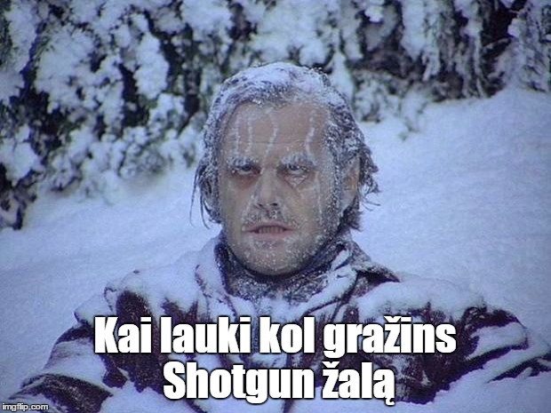 Jack Nicholson The Shining Snow Meme | Kai lauki kol gražins Shotgun žalą | image tagged in memes,jack nicholson the shining snow | made w/ Imgflip meme maker