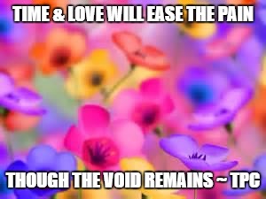 flowers | TIME & LOVE WILL EASE THE PAIN; THOUGH THE VOID REMAINS ~ TPC | image tagged in flowers | made w/ Imgflip meme maker