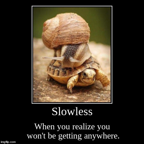 Slowness | image tagged in funny,demotivationals,slow,snail,snail riding turtle,turtle | made w/ Imgflip demotivational maker