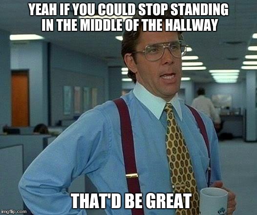 Theres always that one person... | YEAH IF YOU COULD STOP STANDING IN THE MIDDLE OF THE HALLWAY; THAT'D BE GREAT | image tagged in memes,that would be great,hallway,student,annoying,bruh | made w/ Imgflip meme maker