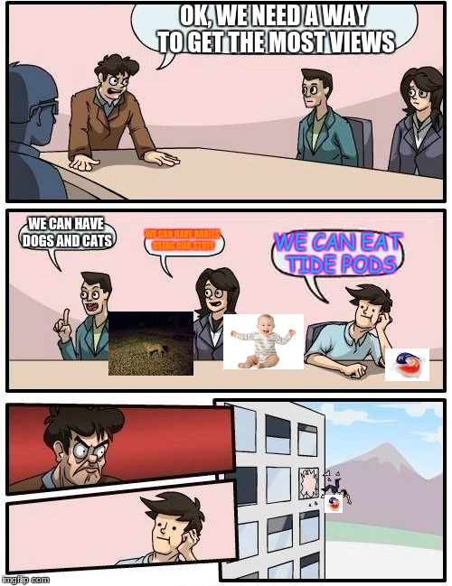 Boardroom Meeting: DBTp  | OK, WE NEED A WAY TO GET THE MOST VIEWS; WE CAN HAVE DOGS AND CATS; WE CAN HAVE BABIES USING OUR STUFF; WE CAN EAT TIDE PODS | image tagged in memes,boardroom meeting suggestion | made w/ Imgflip meme maker