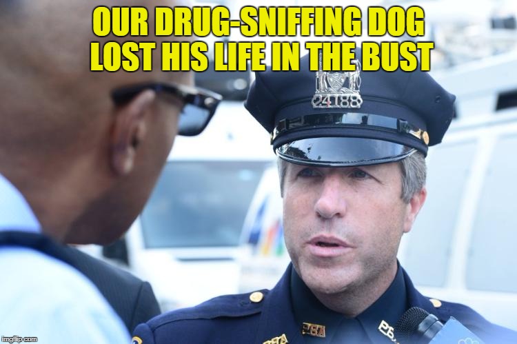 OUR DRUG-SNIFFING DOG LOST HIS LIFE IN THE BUST | made w/ Imgflip meme maker