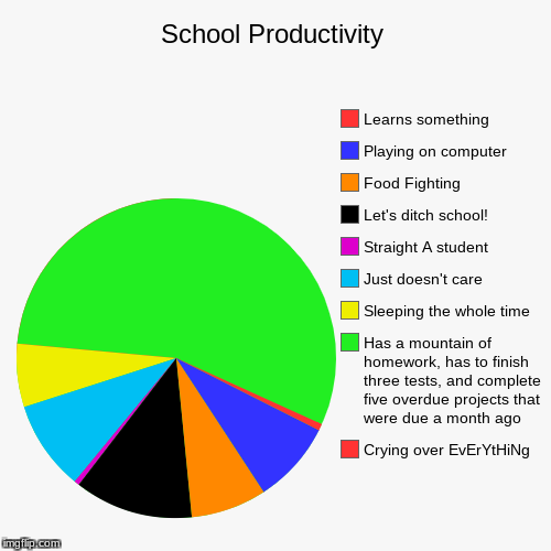 I have no idea what I'm doing with my life. | School Productivity | Crying over EvErYtHiNg, Has a mountain of homework, has to finish three tests, and complete five overdue projects that | image tagged in funny,pie charts | made w/ Imgflip chart maker