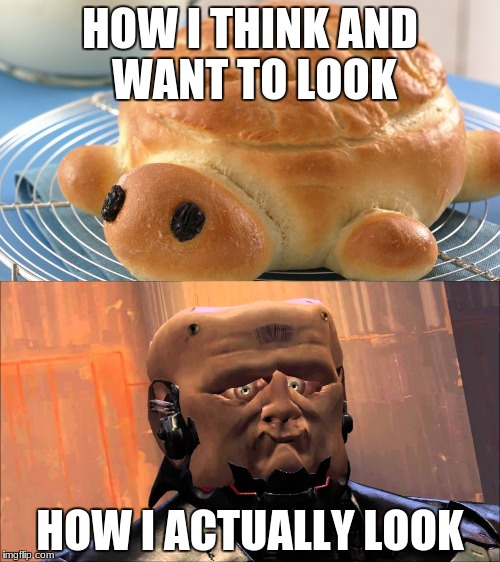 i am bread | HOW I THINK AND WANT TO LOOK; HOW I ACTUALLY LOOK | image tagged in funny,memes,bread | made w/ Imgflip meme maker