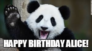HAPPY BIRTHDAY ALICE! | image tagged in panda | made w/ Imgflip meme maker