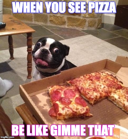 Hungry Pizza Dog | WHEN YOU SEE PIZZA; BE LIKE GIMME THAT | image tagged in hungry pizza dog | made w/ Imgflip meme maker
