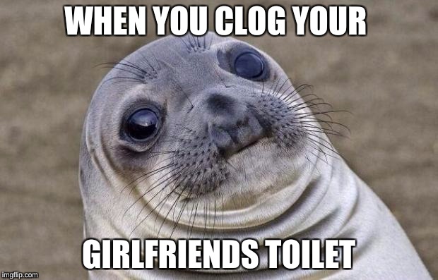 Awkward Moment Sealion | WHEN YOU CLOG YOUR; GIRLFRIENDS TOILET | image tagged in memes,awkward moment sealion | made w/ Imgflip meme maker