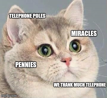 cate (such cat) | TELEPHONE POLES MIRACLES PENNIES WE THANK MUCH TELEPHONE | image tagged in cate such cat | made w/ Imgflip meme maker