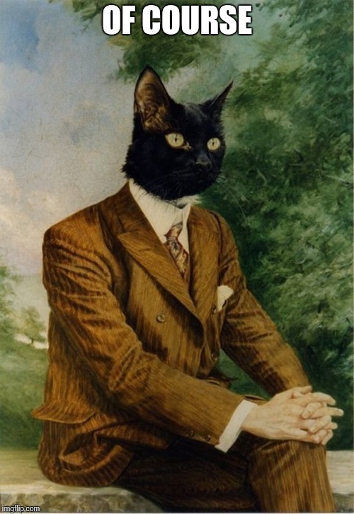 cat in a suit | OF COURSE | image tagged in cat in a suit | made w/ Imgflip meme maker