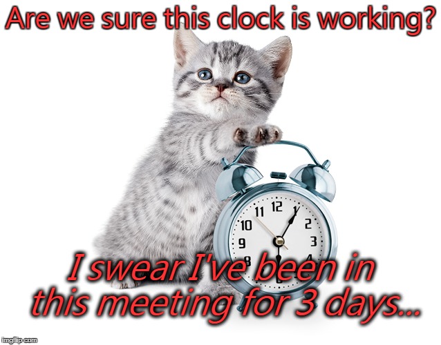 Kitty with alarm clock | Are we sure this clock is working? I swear I've been in this meeting for 3 days... | image tagged in kitty with alarm clock | made w/ Imgflip meme maker
