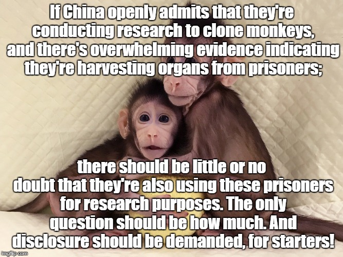 China human and monkey Research | If China openly admits that they're conducting research to clone monkeys, and there's overwhelming evidence indicating they're harvesting organs from prisoners;; there should be little or no doubt that they're also using these prisoners for research purposes. The only question should be how much. And disclosure should be demanded, for starters! | image tagged in china,research,human research,clones,human rights | made w/ Imgflip meme maker