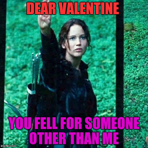 Hunger games | DEAR VALENTINE; YOU FELL FOR SOMEONE OTHER THAN ME | image tagged in hunger games | made w/ Imgflip meme maker