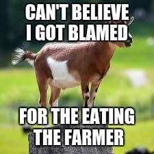 Scapegoat | CAN'T BELIEVE I GOT BLAMED; FOR THE EATING THE FARMER | image tagged in scapegoat | made w/ Imgflip meme maker