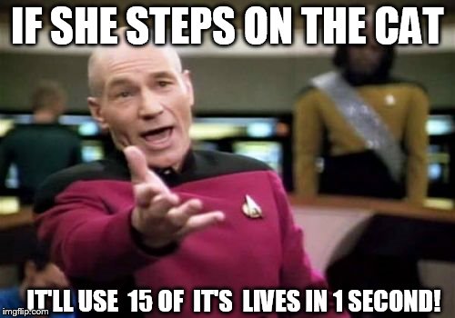 Picard Wtf Meme | IF SHE STEPS ON THE CAT IT'LL USE  15 OF  IT'S  LIVES IN 1 SECOND! | image tagged in memes,picard wtf | made w/ Imgflip meme maker