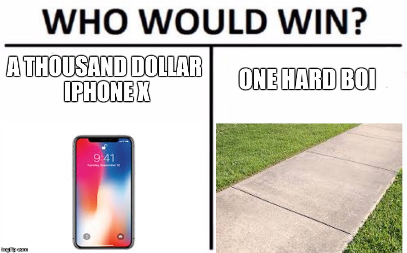 Who Would Win? Meme | A THOUSAND DOLLAR IPHONE X; ONE HARD BOI | image tagged in memes,who would win | made w/ Imgflip meme maker