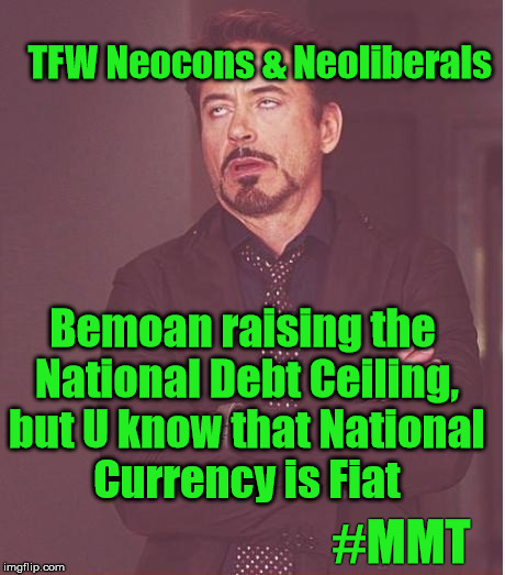 National debt is nothing like household debt | TFW Neocons & Neoliberals; Bemoan raising the National Debt Ceiling, but U know that National Currency is Fiat; #MMT | image tagged in memes,face you make robert downey jr,modern monetary theory,national debt,fiat currency | made w/ Imgflip meme maker