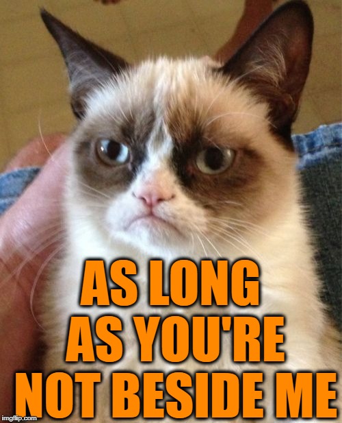 Grumpy Cat Meme | AS LONG AS YOU'RE NOT BESIDE ME | image tagged in memes,grumpy cat | made w/ Imgflip meme maker