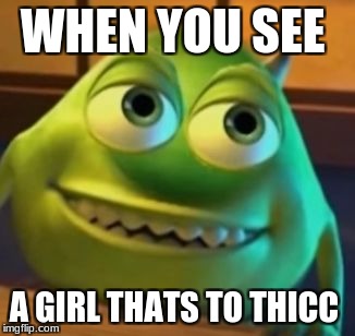 To Thicc | WHEN YOU SEE; A GIRL THATS TO THICC | image tagged in to thicc | made w/ Imgflip meme maker
