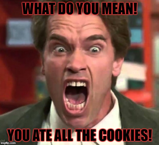 WHAT DO YOU MEAN! YOU ATE ALL THE COOKIES! | image tagged in what cookies | made w/ Imgflip meme maker
