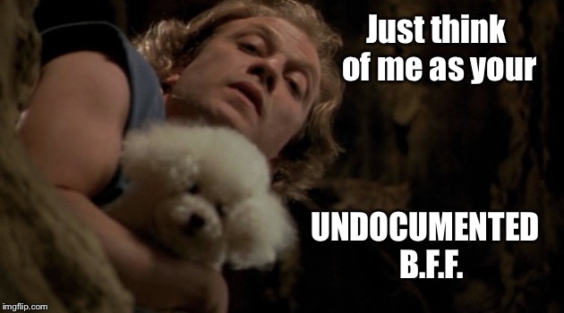 A Rose By Any Other Name | Just think of me as your; UNDOCUMENTED  B.F.F. | image tagged in illegal immigration,buffalo bill silence of the lambs | made w/ Imgflip meme maker