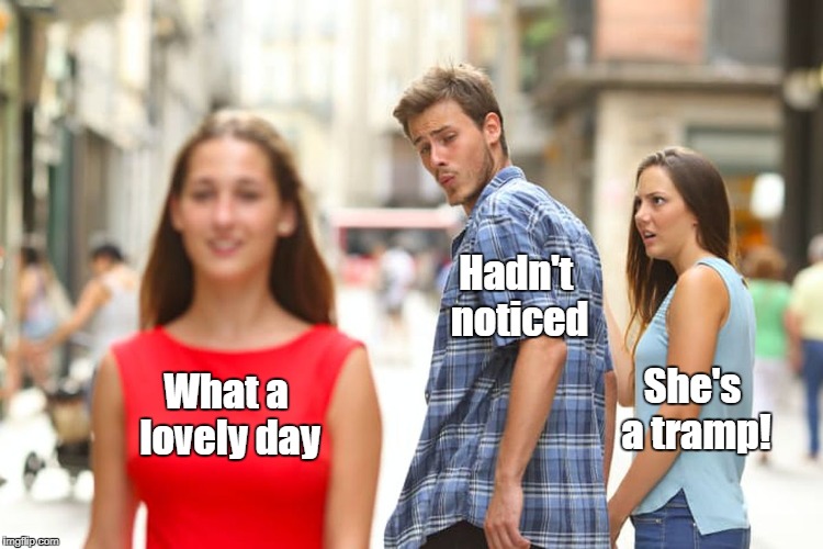 Distracted Boyfriend Meme | Hadn't noticed; She's a tramp! What a lovely day | image tagged in memes,distracted boyfriend | made w/ Imgflip meme maker