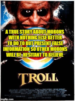 Troll movie poster | A TRUE STORY ABOUT MORONS WITH NOTHING ELSE BETTER TO DO TO BUT PRESENT FALSE INFORMATION SO OTHER MORONS WILL BE  HESITANT TO BELIEVE | image tagged in troll movie poster | made w/ Imgflip meme maker