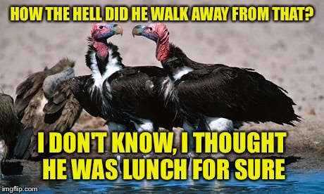 HOW THE HELL DID HE WALK AWAY FROM THAT? I DON'T KNOW, I THOUGHT HE WAS LUNCH FOR SURE | made w/ Imgflip meme maker