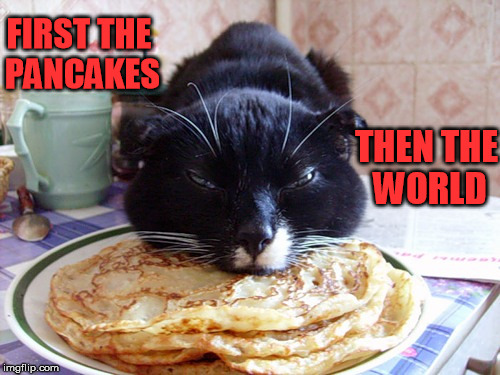 Pancake cat - Imgflip
