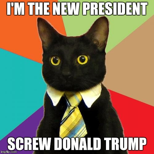 Business Cat | I'M THE NEW PRESIDENT; SCREW DONALD TRUMP | image tagged in memes,business cat | made w/ Imgflip meme maker