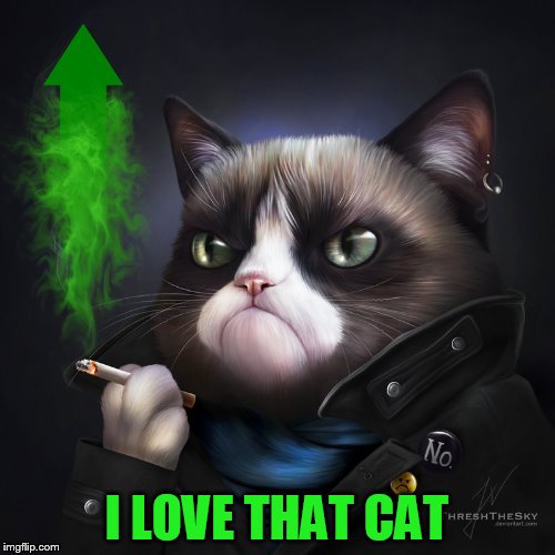 I LOVE THAT CAT | made w/ Imgflip meme maker