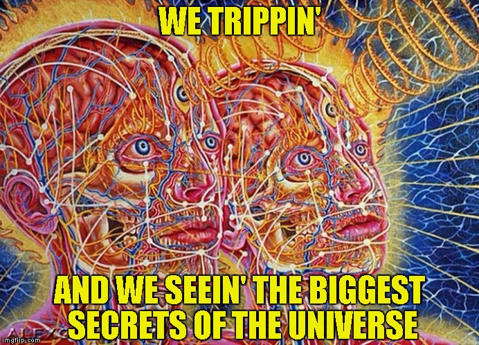 WE TRIPPIN' AND WE SEEIN' THE BIGGEST SECRETS OF THE UNIVERSE | made w/ Imgflip meme maker