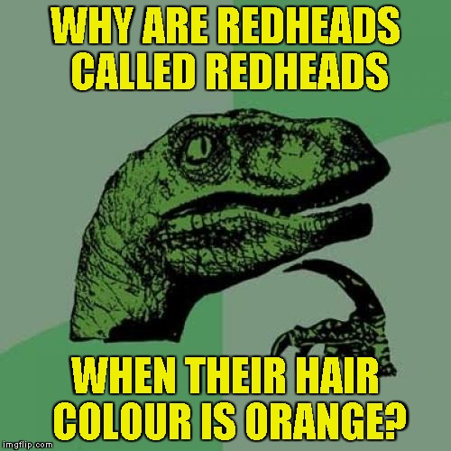 I'd ask Jessica_ that....if she was still here :( |  WHY ARE REDHEADS CALLED REDHEADS; WHEN THEIR HAIR COLOUR IS ORANGE? | image tagged in memes,philosoraptor,jessica_,powermetalhead,redheads,orange | made w/ Imgflip meme maker