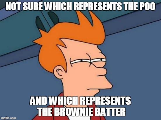Futurama Fry Meme | NOT SURE WHICH REPRESENTS THE POO AND WHICH REPRESENTS THE BROWNIE BATTER | image tagged in memes,futurama fry | made w/ Imgflip meme maker