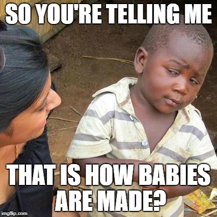 Third World Skeptical Kid | SO YOU'RE TELLING ME; THAT IS HOW BABIES ARE MADE? | image tagged in memes,third world skeptical kid | made w/ Imgflip meme maker