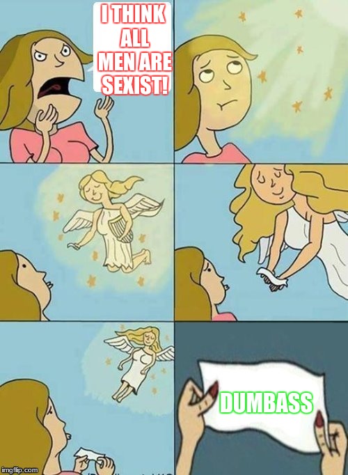 I just realized... | I THINK ALL MEN ARE SEXIST! DUMBASS | image tagged in i dont care,dashhopes,angels,memes | made w/ Imgflip meme maker