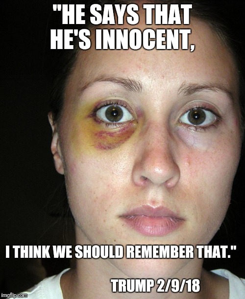 Domestic violence  | "HE SAYS THAT HE'S INNOCENT, I THINK WE SHOULD REMEMBER THAT."
                             
                      TRUMP 2/9/18 | image tagged in dump trump | made w/ Imgflip meme maker