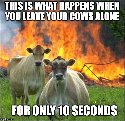 Da evil cows | THIS IS WHAT HAPPENS WHEN YOU LEAVE YOUR COWS ALONE; FOR ONLY 10 SECONDS | image tagged in memes,evil cows | made w/ Imgflip meme maker