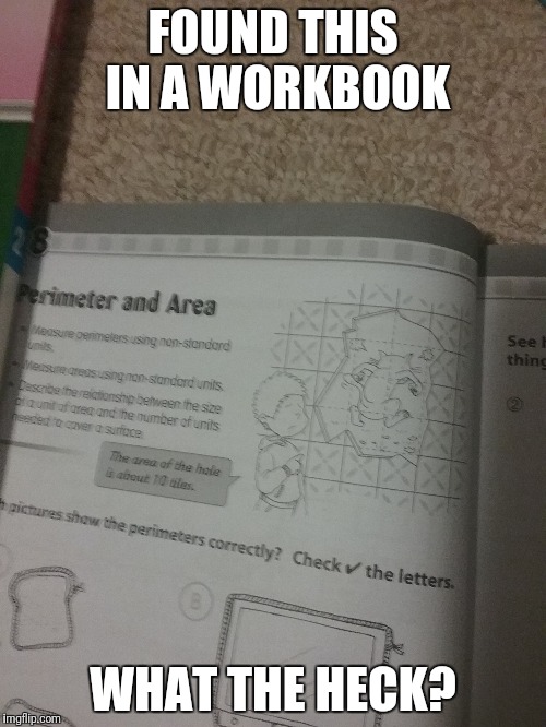 I don't think life works life this. |  FOUND THIS IN A WORKBOOK; WHAT THE HECK? | image tagged in life,math,wtf,bruh,cat,what the heck | made w/ Imgflip meme maker