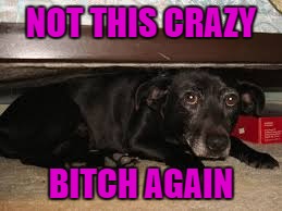 NOT THIS CRAZY B**CH AGAIN | made w/ Imgflip meme maker