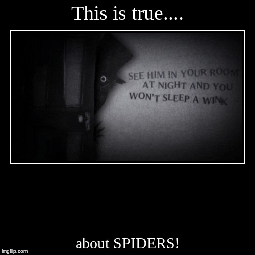 This is true.... | about SPIDERS! | image tagged in funny,demotivationals | made w/ Imgflip demotivational maker